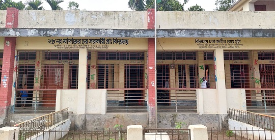 image-here